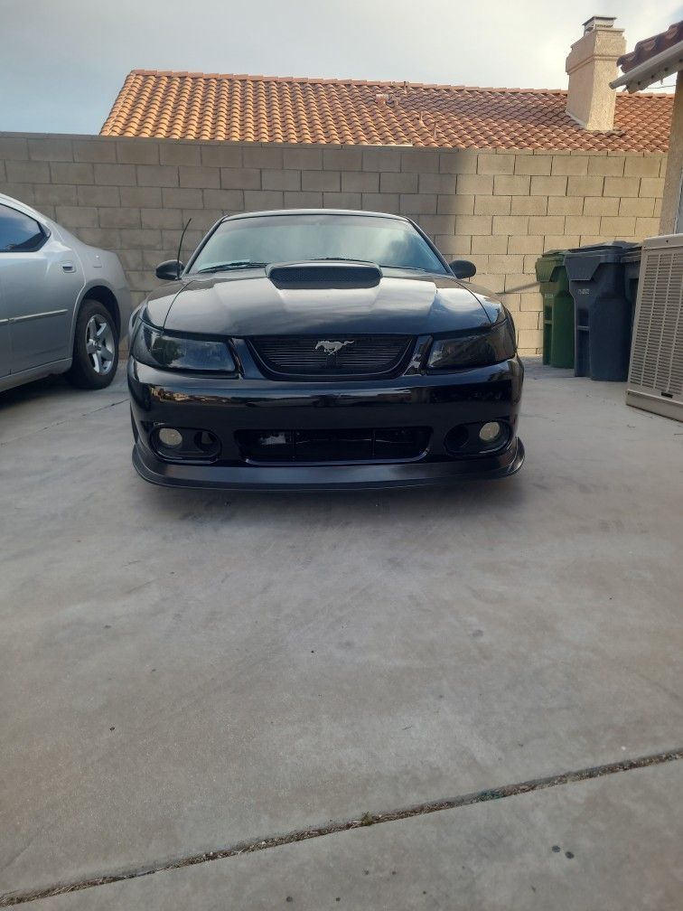 2003 Ford Mustang