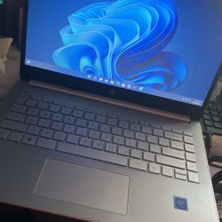 Rose Gold Hp Laptop