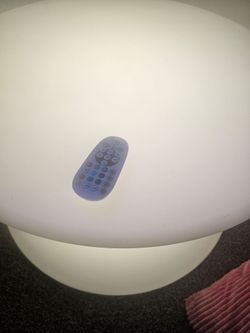 LED Globe Light with Remote Control