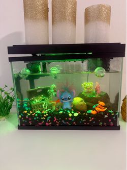 Japanese Goldfish and Fish tank