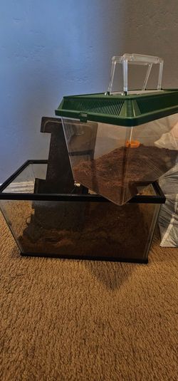 Small reptile tanks