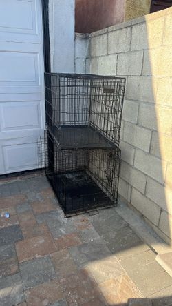 Dog Kennel