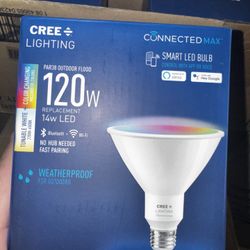 Smart LED Bulb
