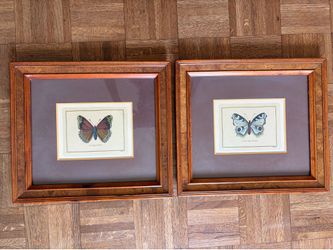 Two Butterfly Watercolors, Framed
