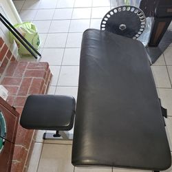 Body-Solid Cam Series Bicep Tricep Machine