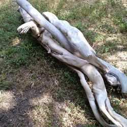 3 Pieces Of Natural Driftwood 