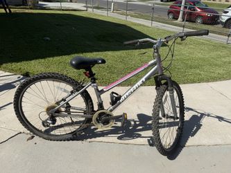 Nishiki Bike