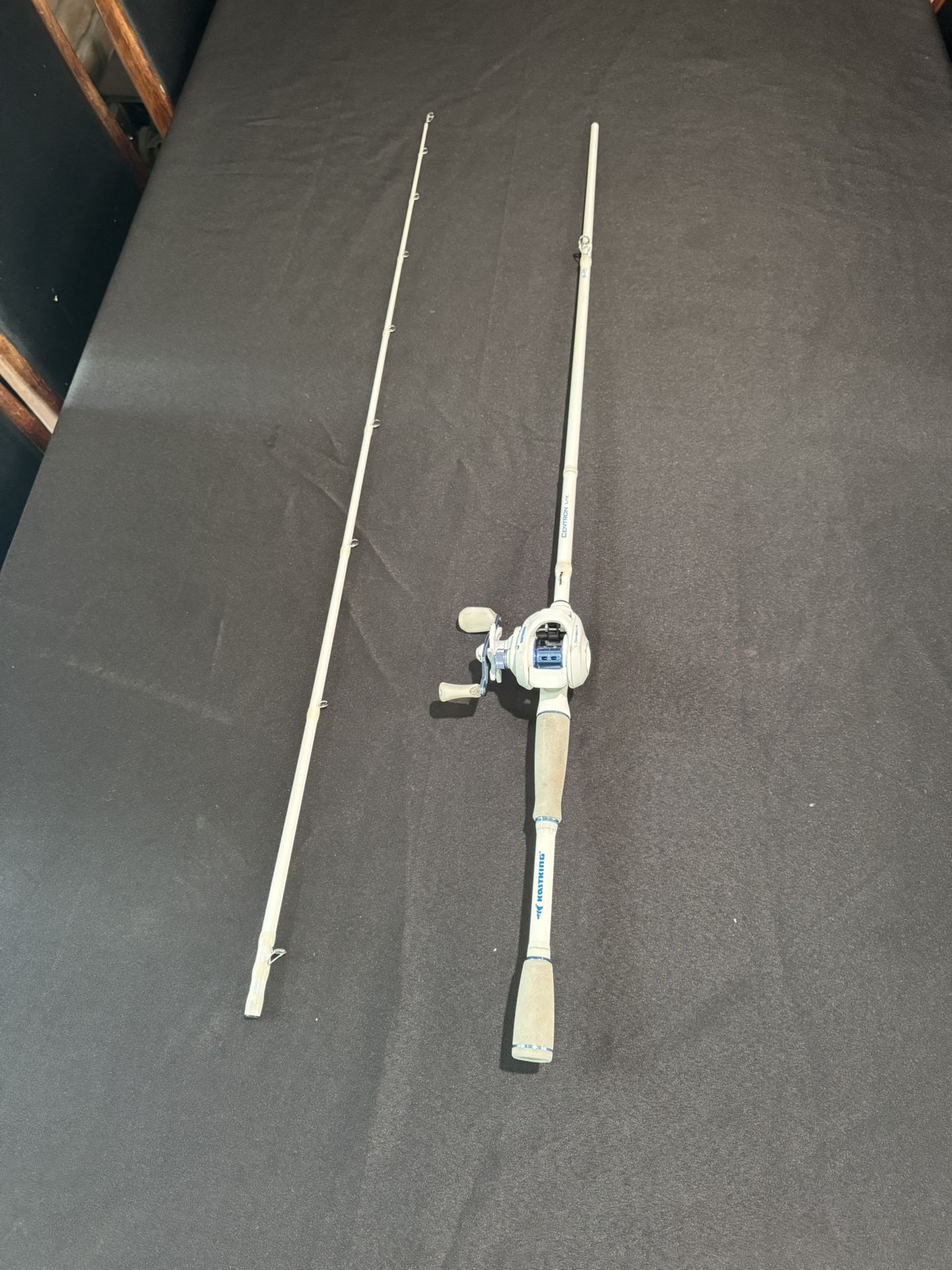 White And Blue Kastking Baitcaster