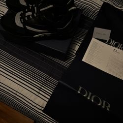 Dior B22(43)