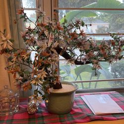 Antique Porcelain Jade Tree