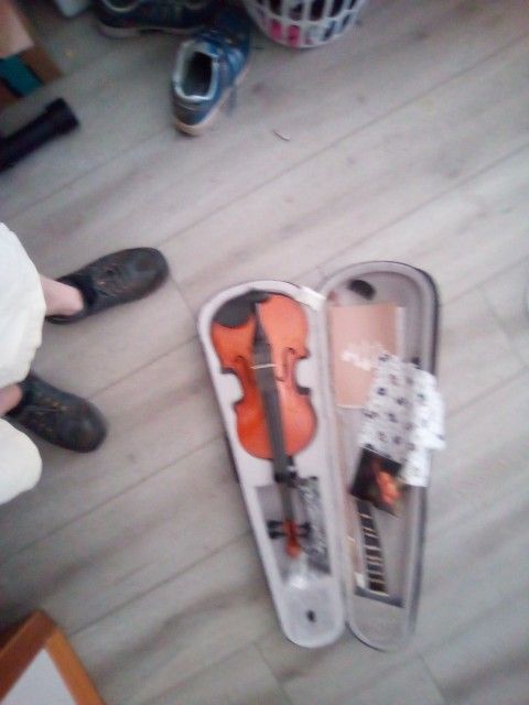 Full Size Brand New Violin