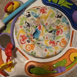 Fisher-price Baby Jumper