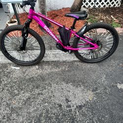 Custom Bike 24 Inch