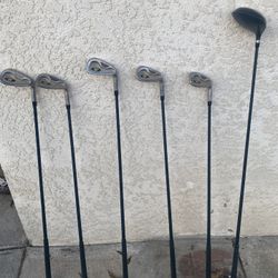 Golden Bear Ladies Golf Clubs 