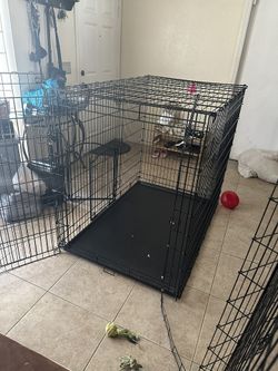 54 Inch Double Door Dog Crate Midwest SL54DD Ginormus Double Door