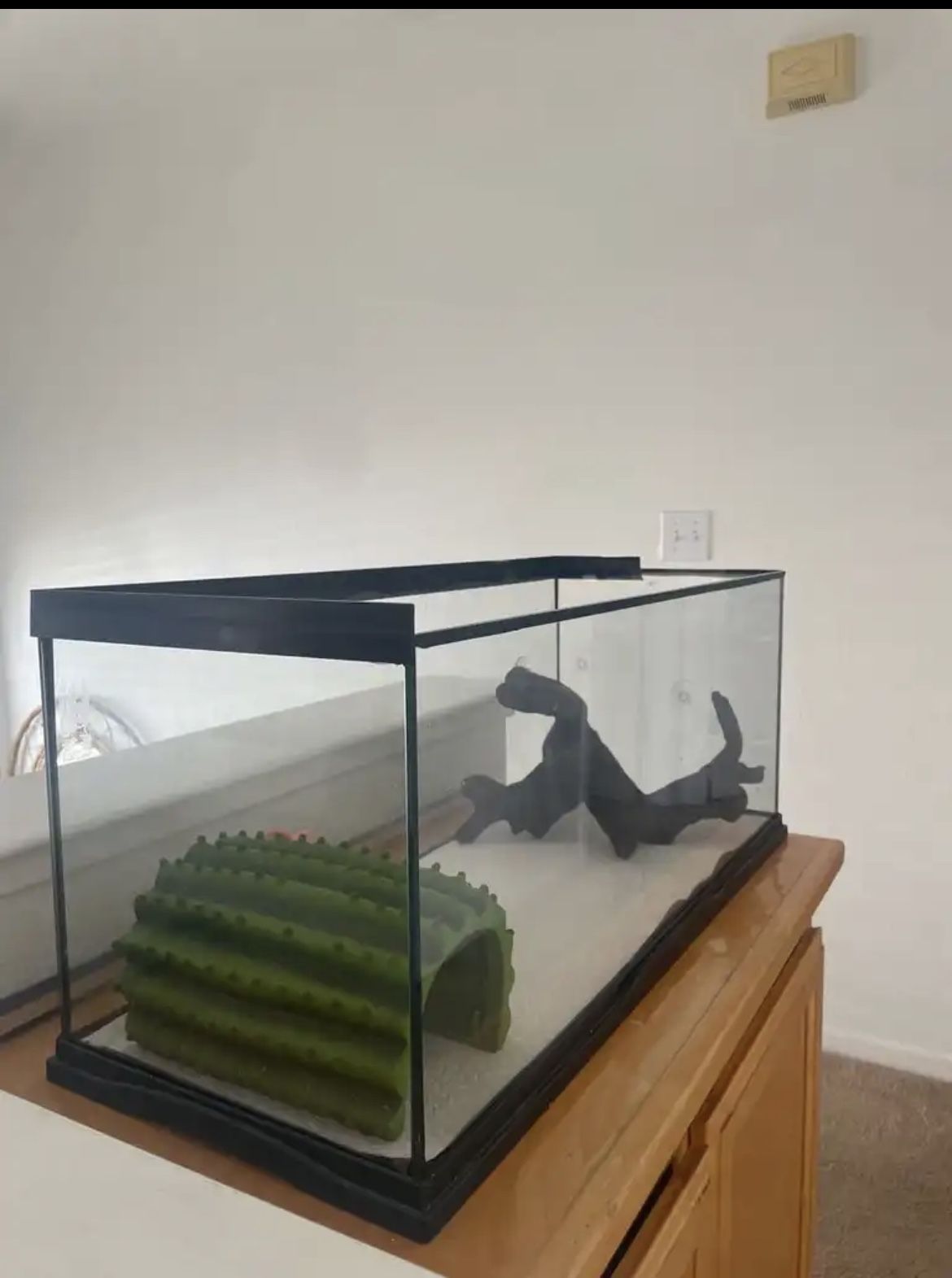 reptile tank