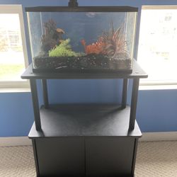 Fish Tank And Stand