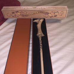 Disney Land Voldemort’s Wand