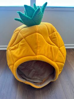 Pineapple Dog Bed/House