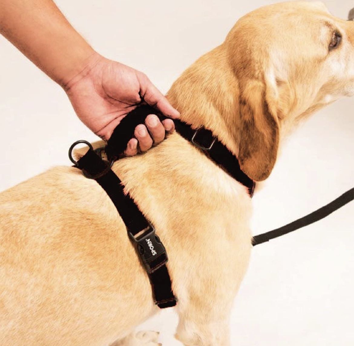 Sporn The Ultimate Dog Control Harness - Medium & Large Dogs, Black
