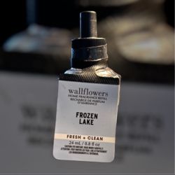 10 Pack Frozen Lake Home Fragrance