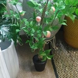 Awesome New Silk Peach Tree Looks Real High Quality.