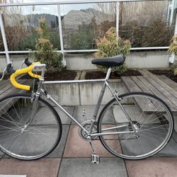 1979 DX 2000 Chrome Road Bike 