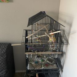 Bird Cage