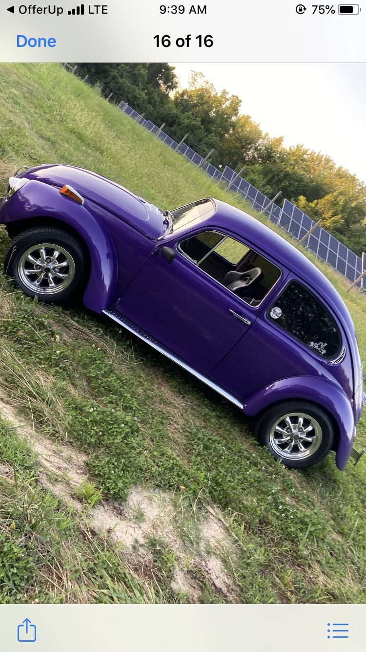 71” Superbeetle