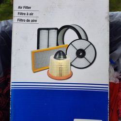 Carquest Air Filter 88116