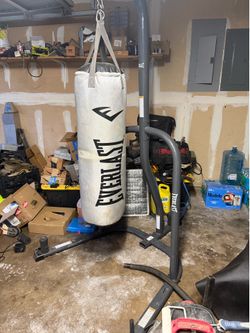 Everlast punching bag