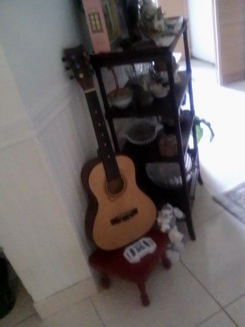 Guitar Needs One String 20.00