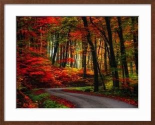 2 Matching, Wood-Framed Photo Prints: "Colorful Way" & "Light Colors"