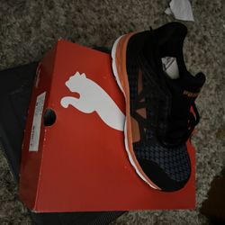 Steel Toe Brand New Never Worn 