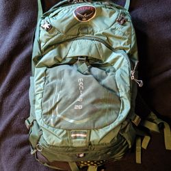 Osprey Manta 28 Backpack With Rainfly