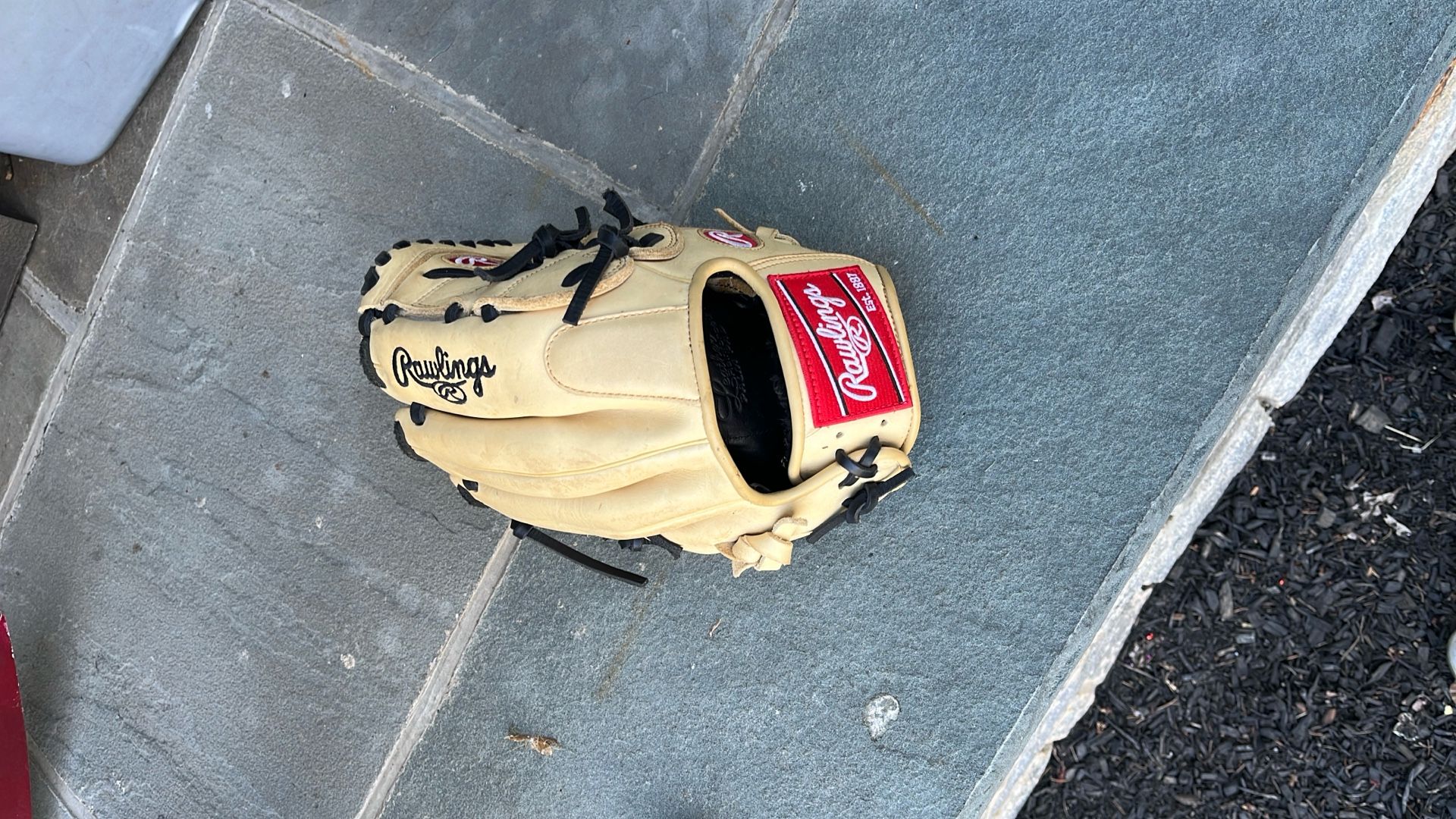 Rawlings Baseball Glove