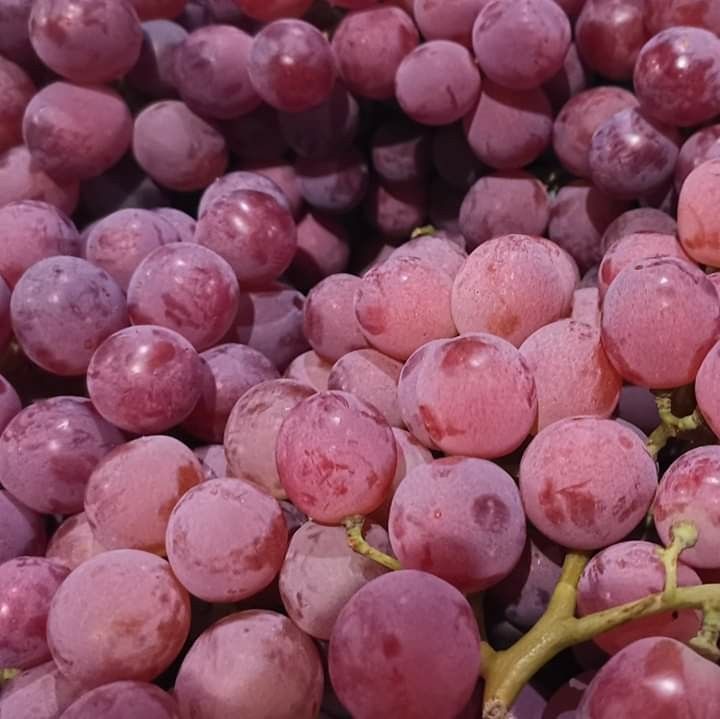fresh fruit