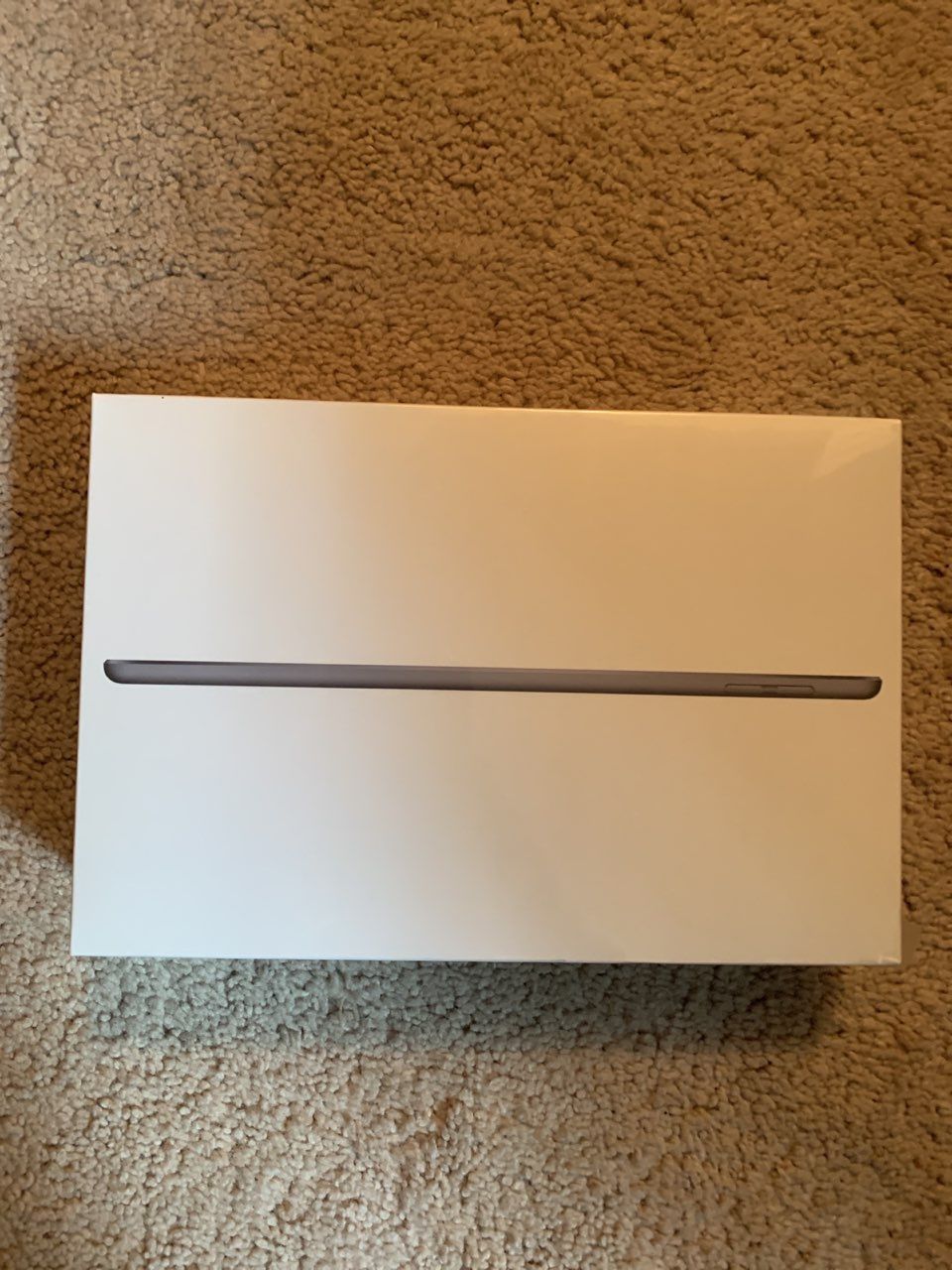 Brand New Apple iPad Mini (64gb, Space Gray)