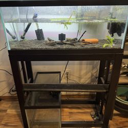 Fish Tank Supplies 