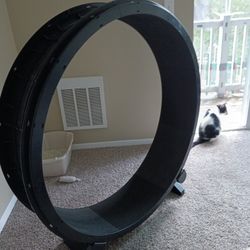 Exercise Cat Wheel 