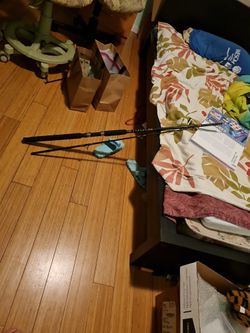 Fishing rod/travel rod