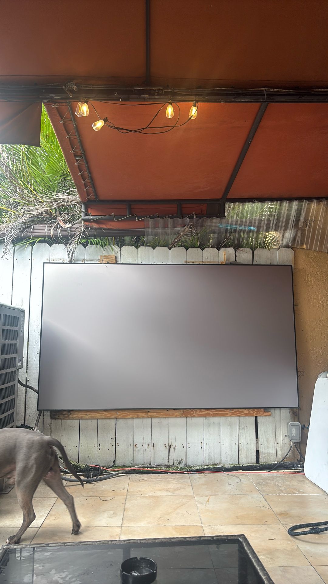 PROJECTOR SCREEN