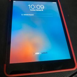 iPad Mini 2 
