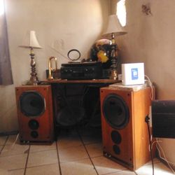 Technics 100 W Receiver With Speakers