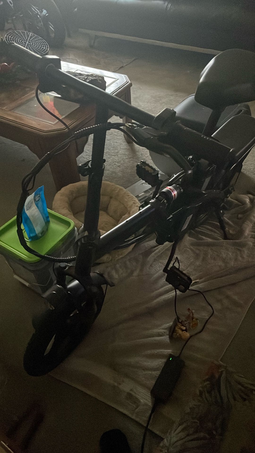 Electric Bike