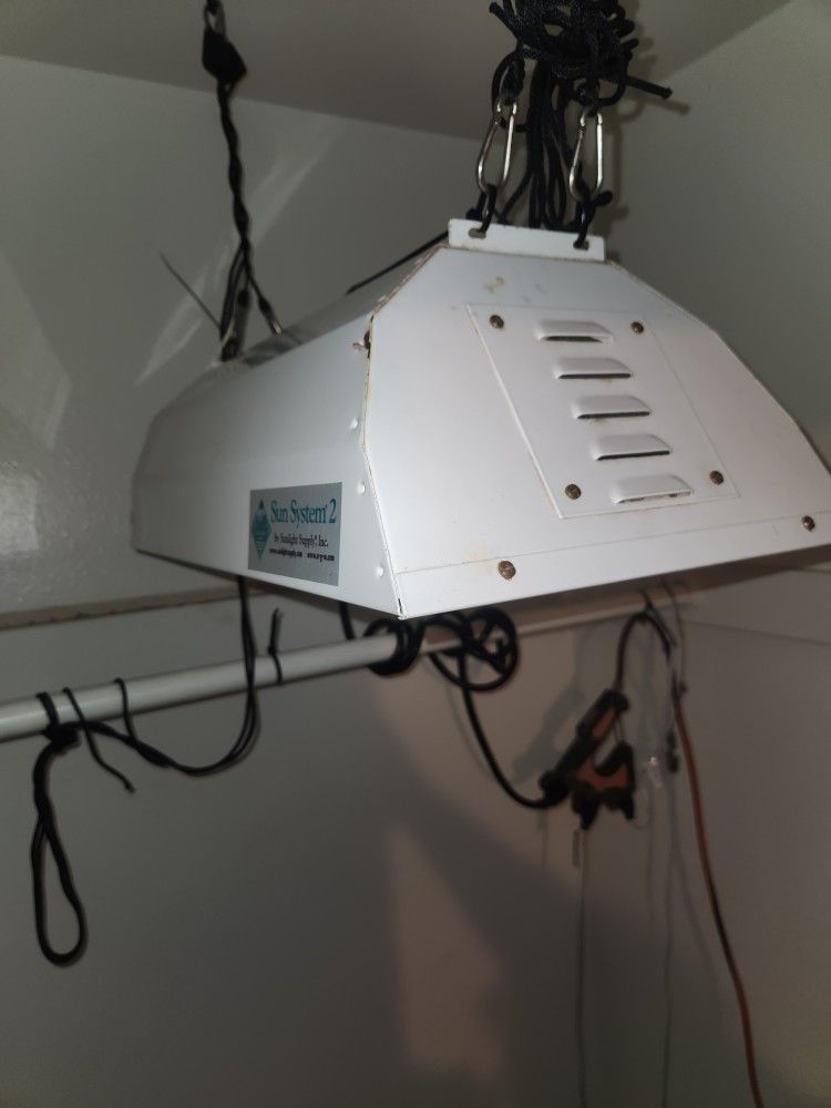 Grow Your Own Fruits & Veggies