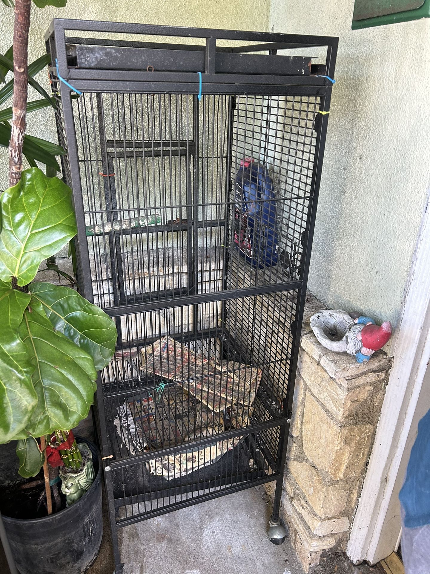 Bird Cage