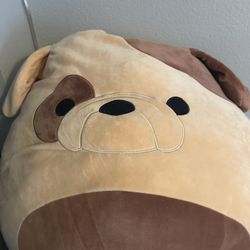 Free 2 Large squishmallows 