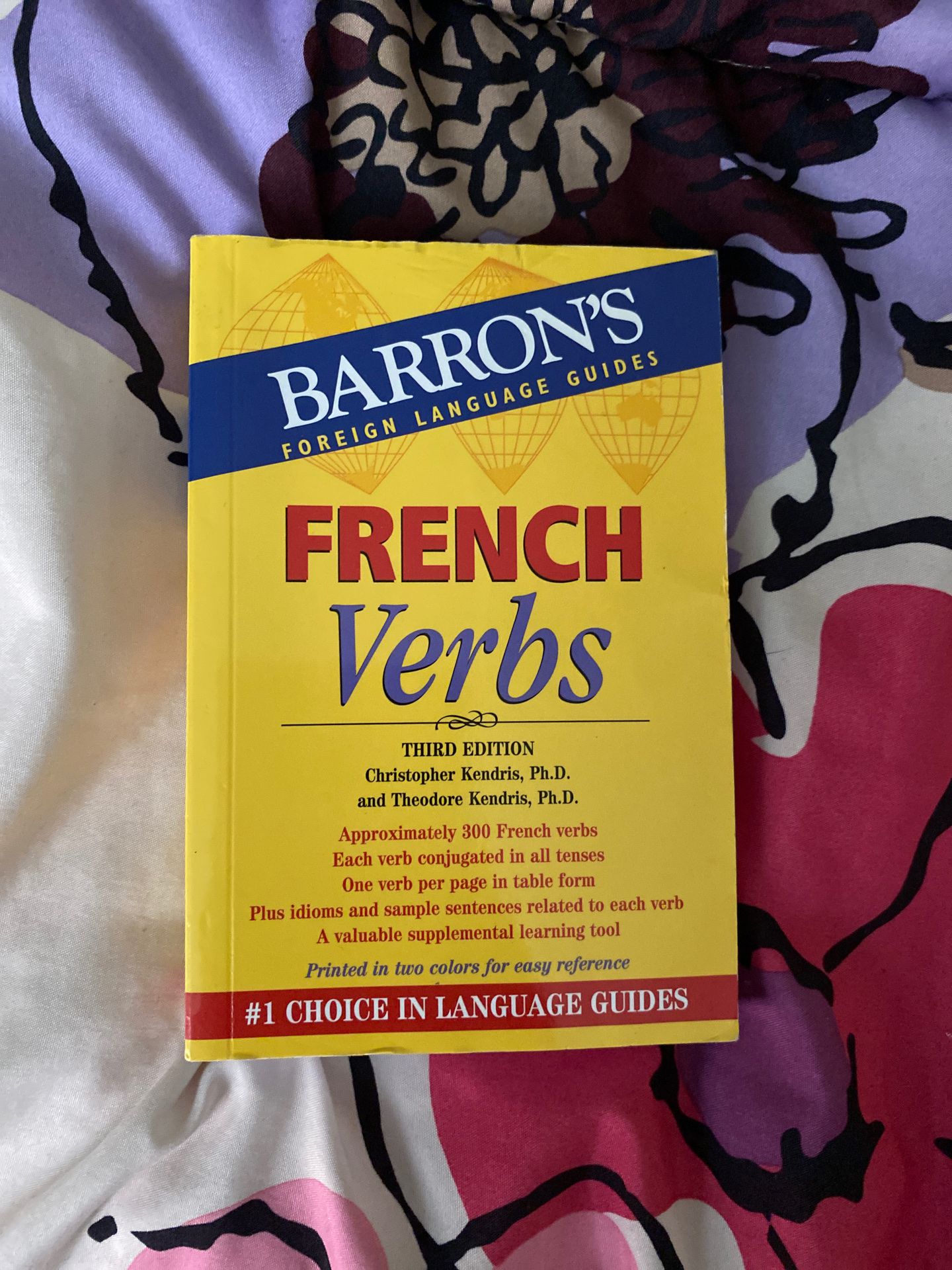 French dictionary & French verbs book