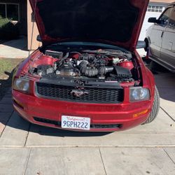 2005 Ford Mustang Clean Title 166 Km